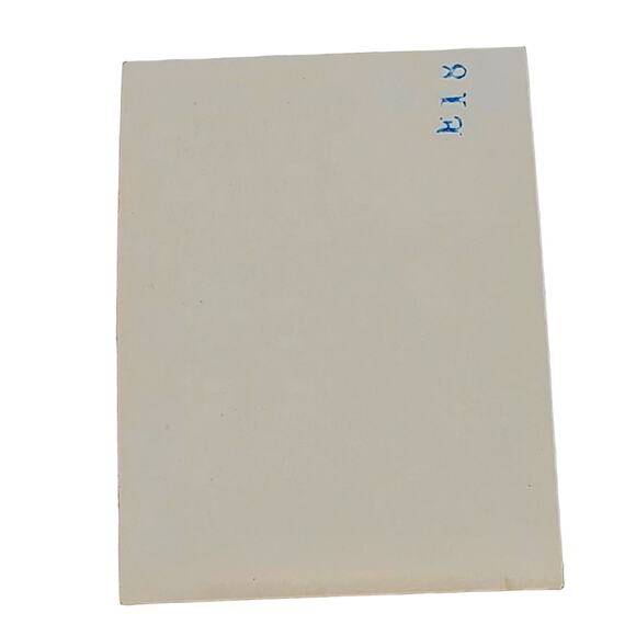 Vtg B&W Photo 1940s Found Yellowstone National Park Fawn Near Road Snapshot - Picture 2 of 4